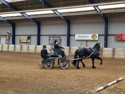 Stal 'De Hoge Linde'