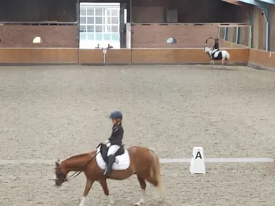 Stal Dijkman, 't Centrum voor paard en mens