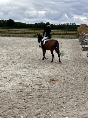 Thielen Manege