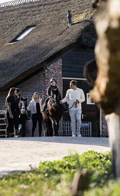 Pony's avonturen stal