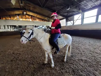 Manege Hoogvliet