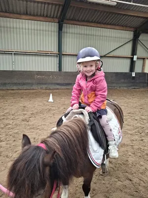 Purmerend Legend Manor International Equestrian School B.v.