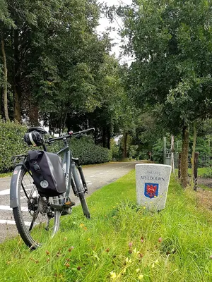 Stal Wiesel