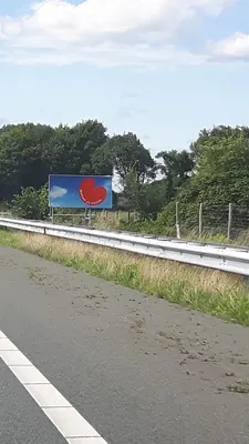 Allroundsportpaarden