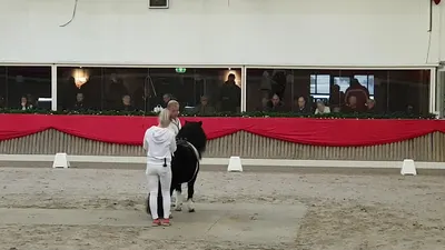 Manege Bartels