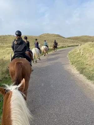 Saman Stables