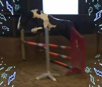 Paardenhandel de Bruin