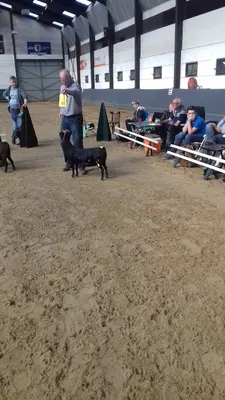 Horse Hotel Hoogeveen