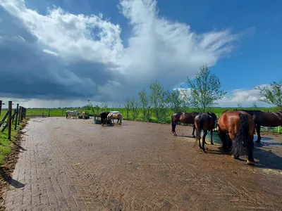 Paardenrusthuis Montana