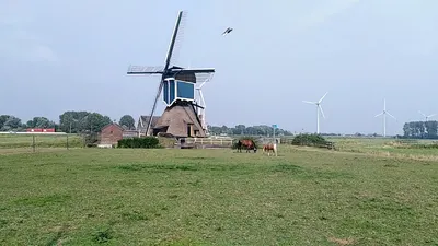 Stal De Nieuwe Uithof