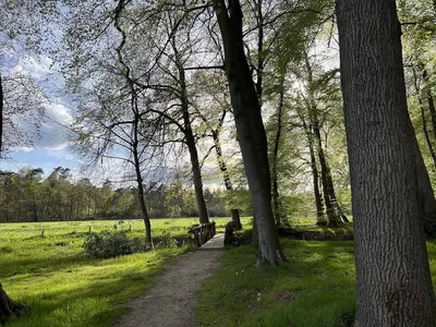 Stal kranenkamp