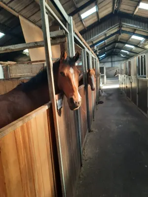 Manege de Hjouwer