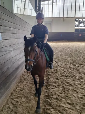 Capelse Manege