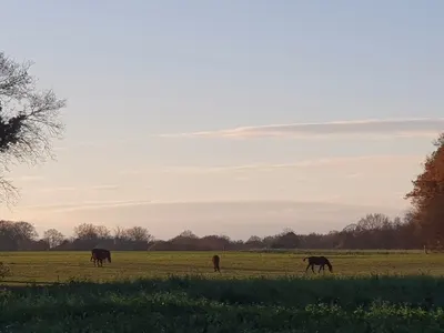 Stal Boverhof