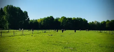Paardenpension De Lindehoeve