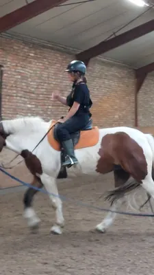 Hippisch Centrum "Kapelhoeve"
