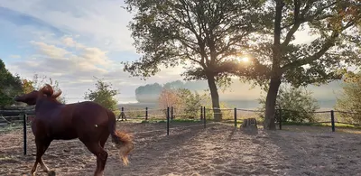 Westernstable Westerkwartier