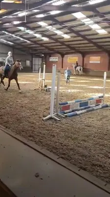 Manege Het Twentsche Veld