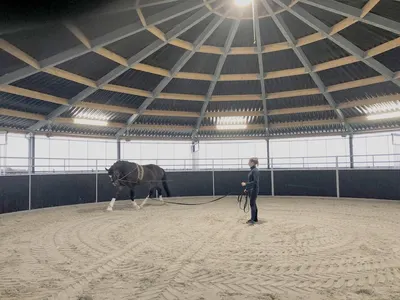 Geert & Henk | Paardenboxen & omheining