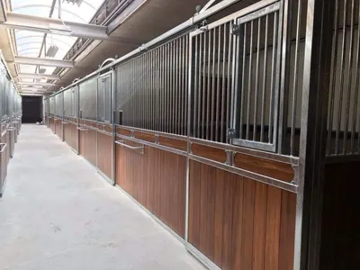 20 Feet Stables