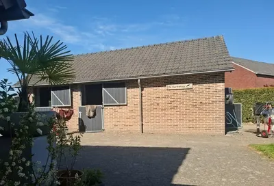 Vw horses pensionstal de grens