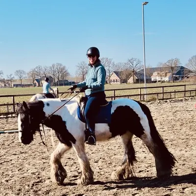 Pensionstal "Rijo's Hoeve"