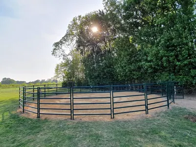 Animal Fences