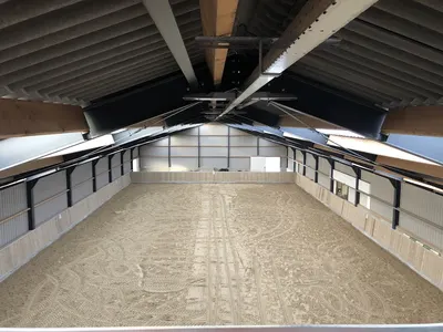 Stal Yellowhoeve paardencoaching en appaloosa fokkerij