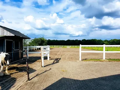 De Bedouine Hoeve