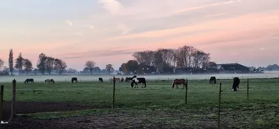 Paddock Paradise De Berg Hoeve