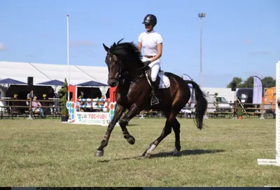 Renate Beuving Sportpaarden en Instructie
